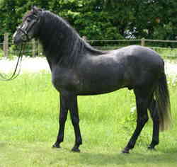 Kanebo-Verkauf03 Kanebo-Verkauf03