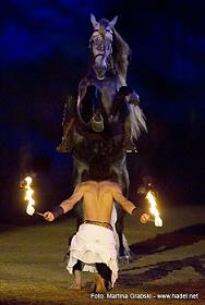 Hansepferd 2006 Bild2