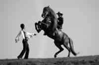 Jacques Toffi Bild 10