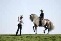 Jacques Toffi Bild 1