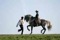 Jacques Toffi Bild 3