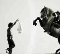 Jacques Toffi Bild 2