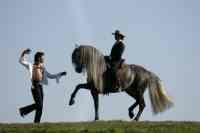 Jacques Toffi Bild 4