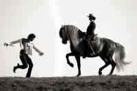 Jacques Toffi Bild 5