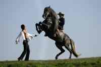 Jacques Toffi Bild 7