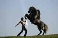 Jacques Toffi Bild 8