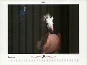 Noble Horse Gala February