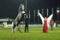 Thomas Jansen Bild 20