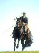 Thomas Jansen Bild 18