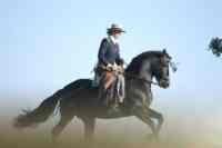 Thomas Jansen Bild 17